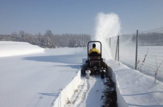 IMG_0606 IMG_0606